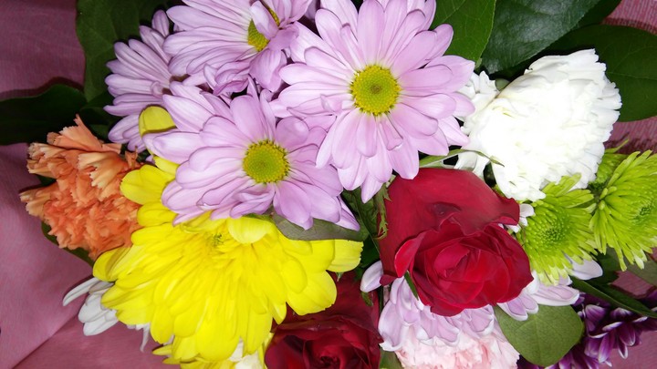 loving flowers
