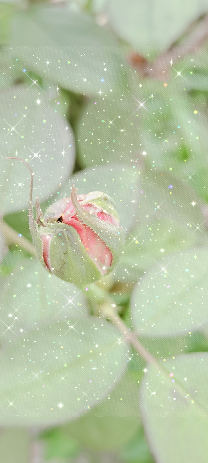 반짝이~^^