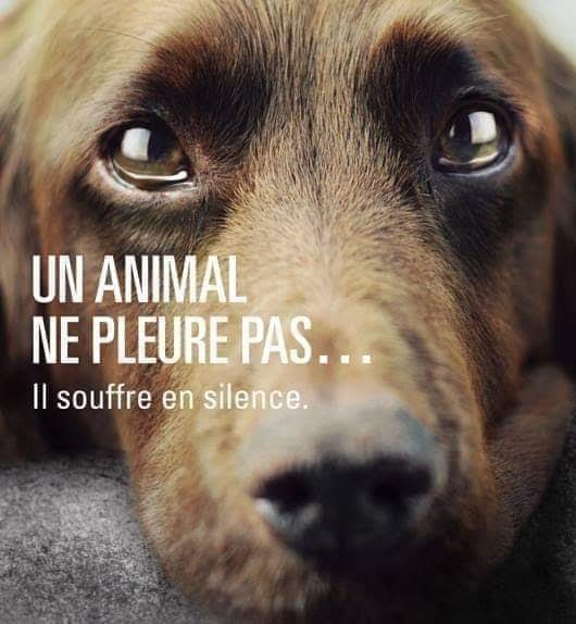 Beauté de la nature