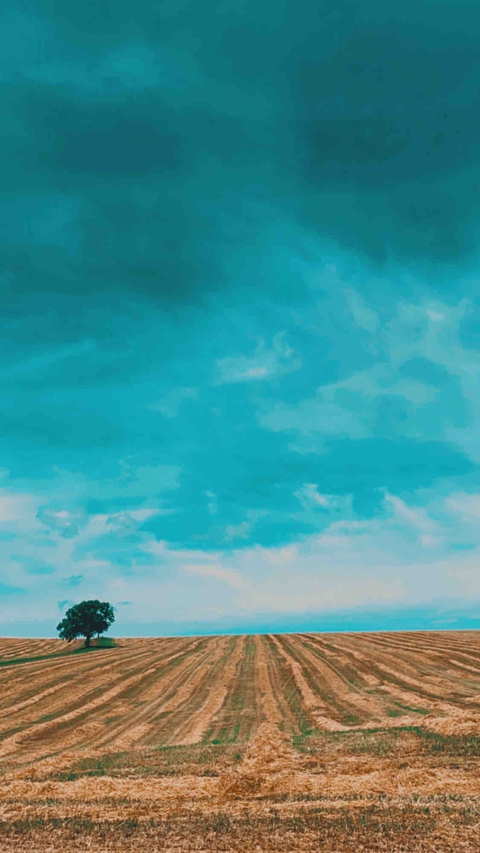 die Stille