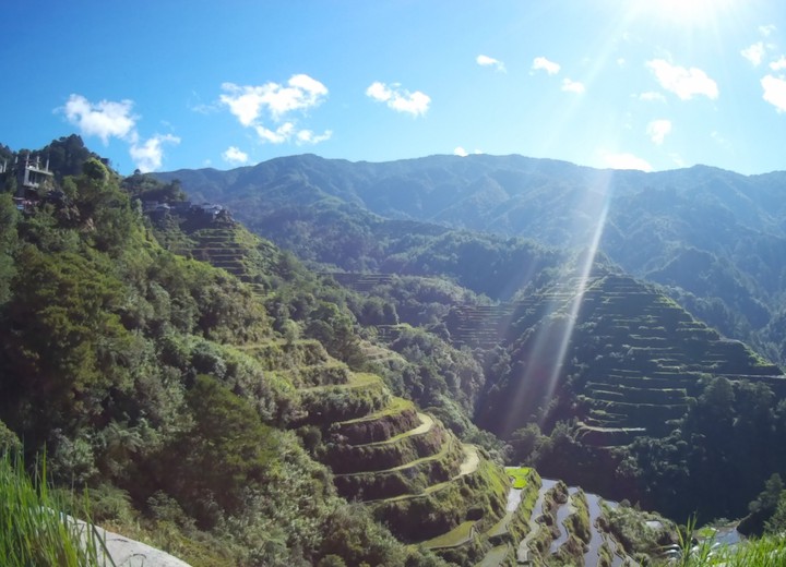 Rice Terraces