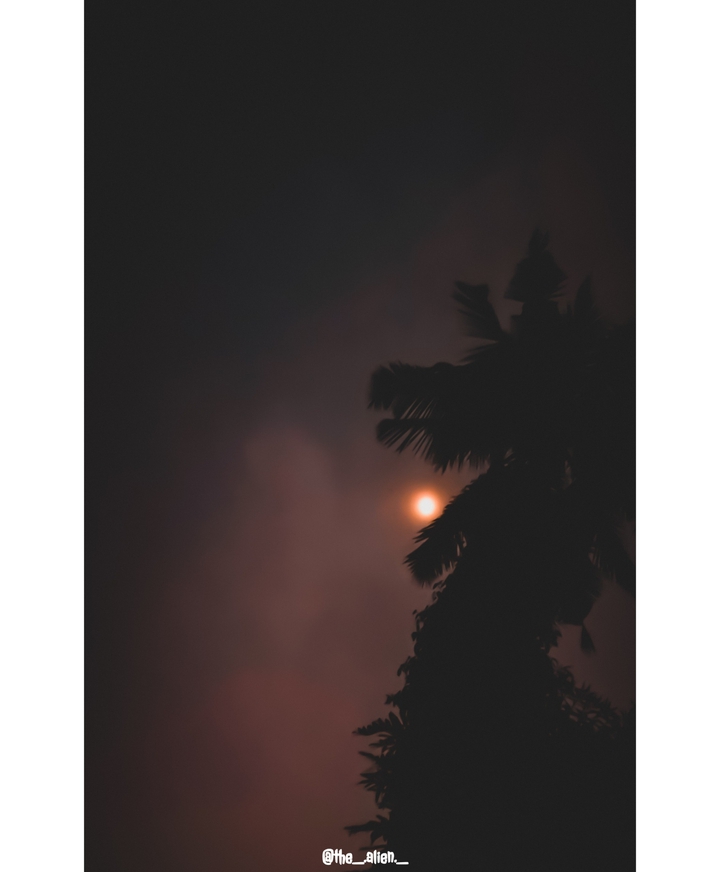 @the_.alien._[manu binoy]