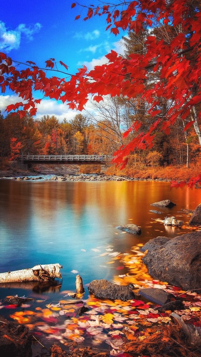 Autumn