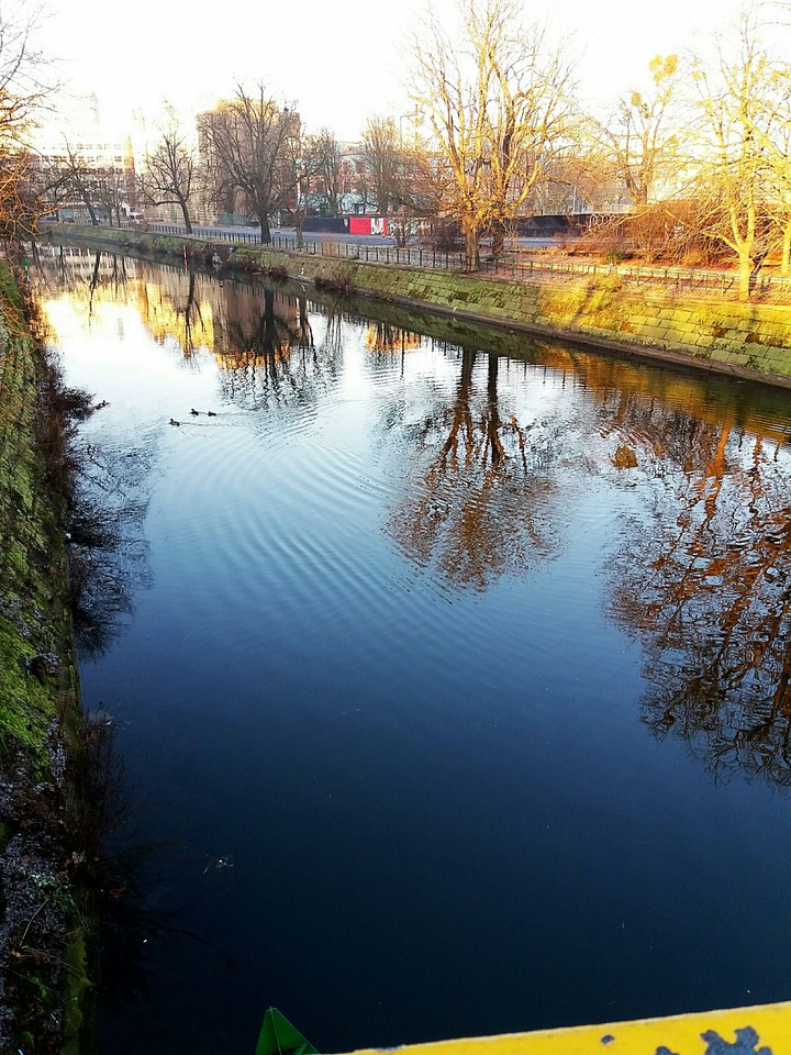 Reflection