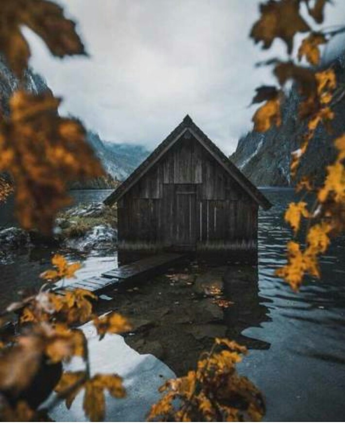 autumn beauty