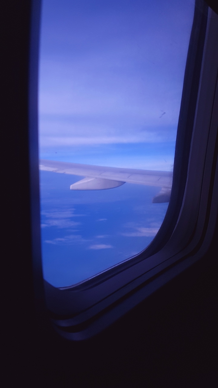 fly like a bird
