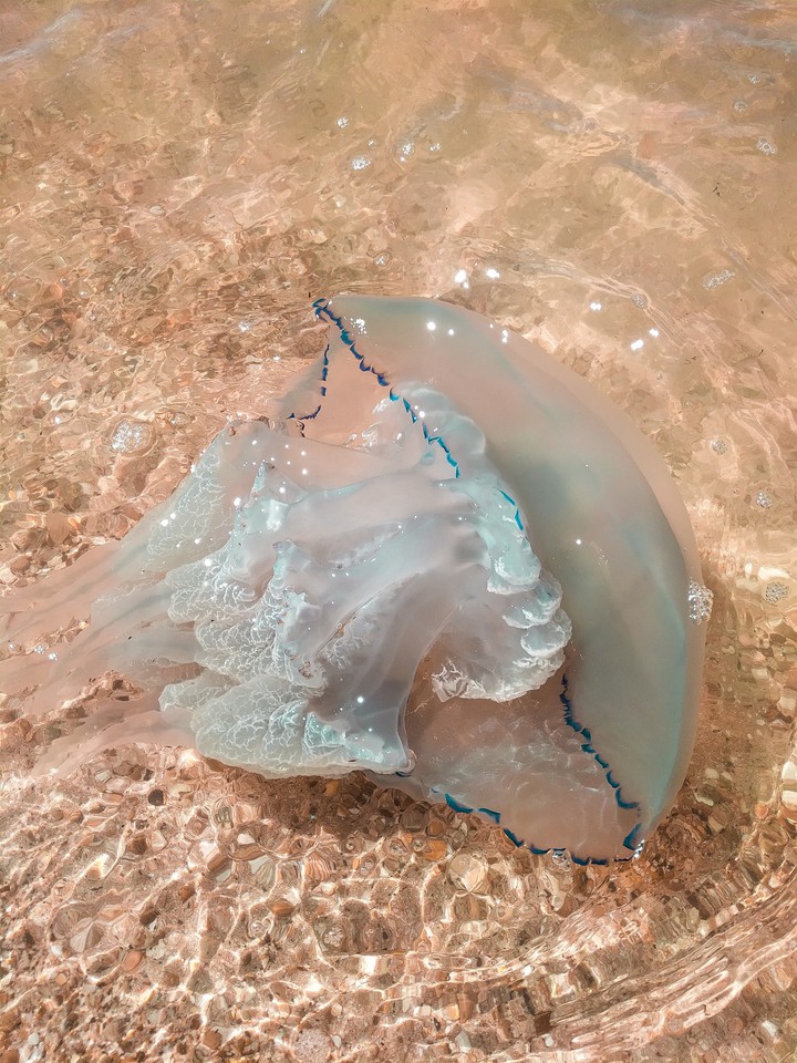 море