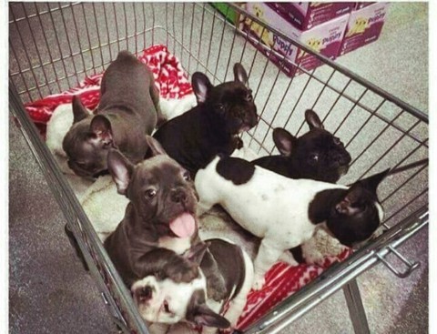 Me at the store