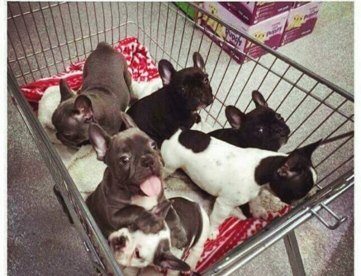 Me at the store