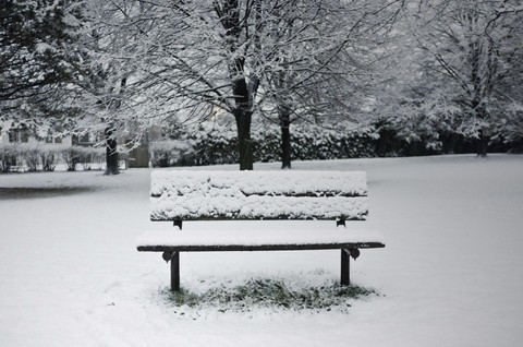 Cold Bench