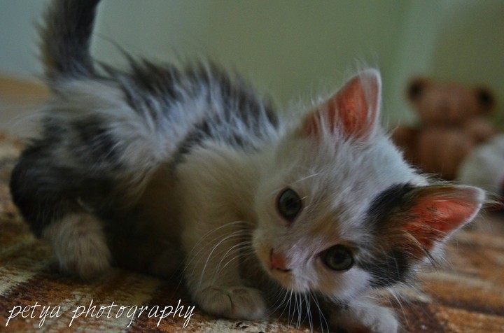 so cute