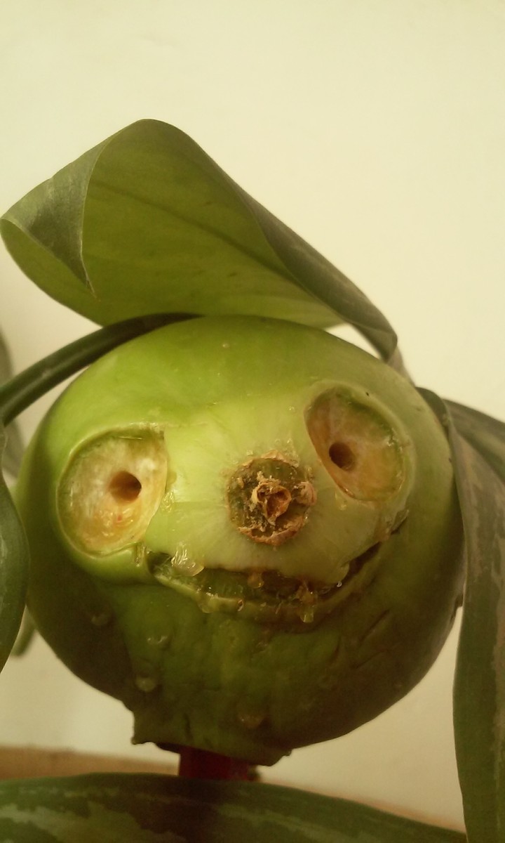 scary fruit