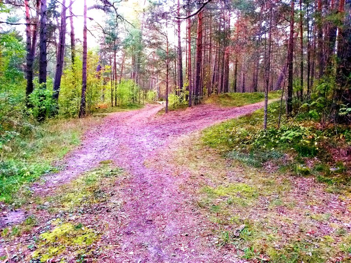 07.09.2019