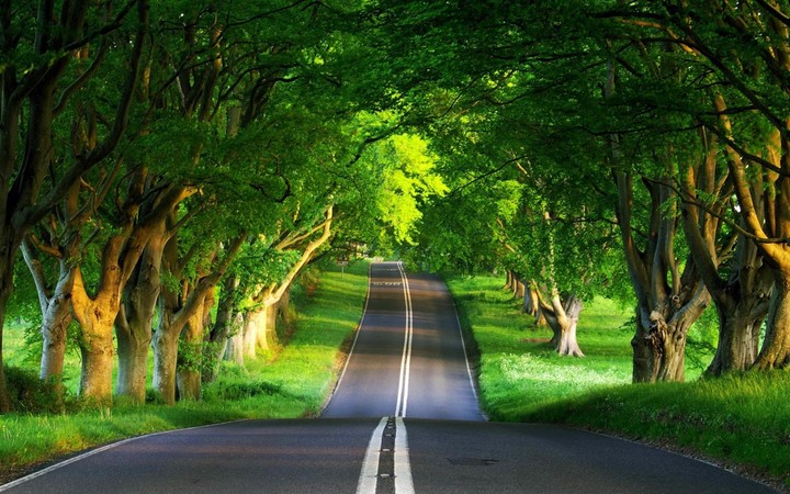 Nature