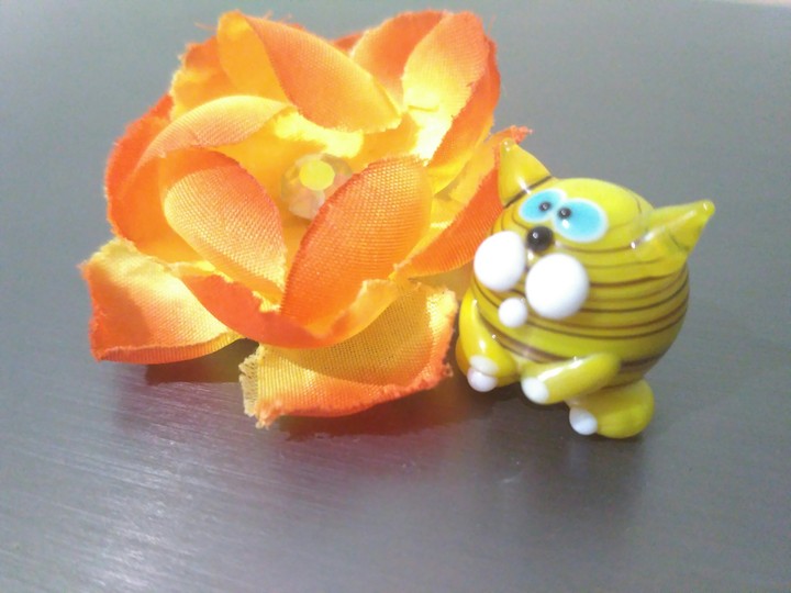 cat and flower