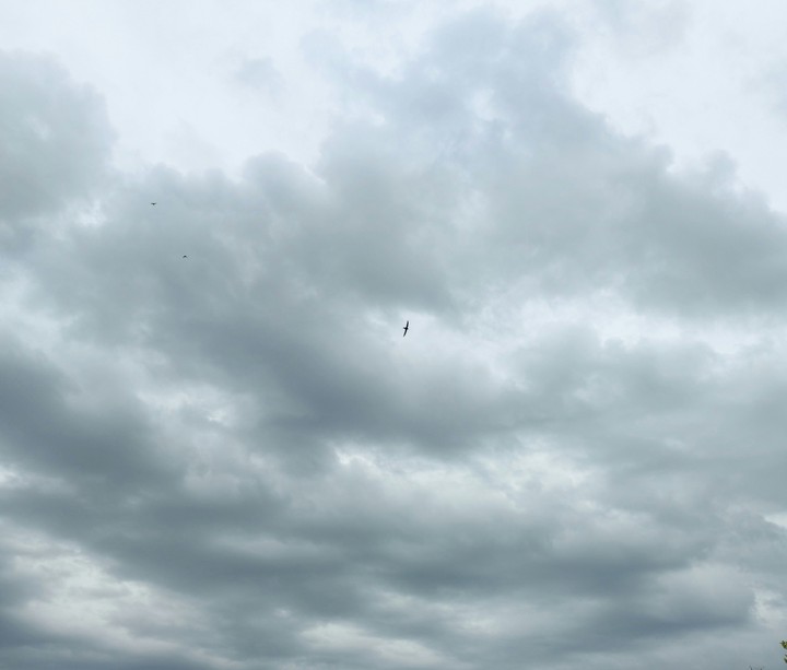 sky небо