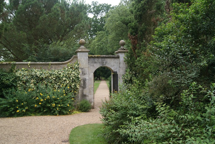 Summer Garden