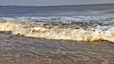 seashore