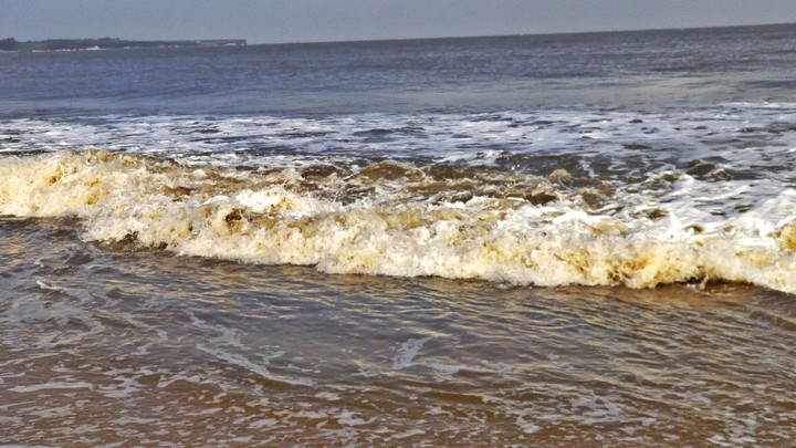 seashore