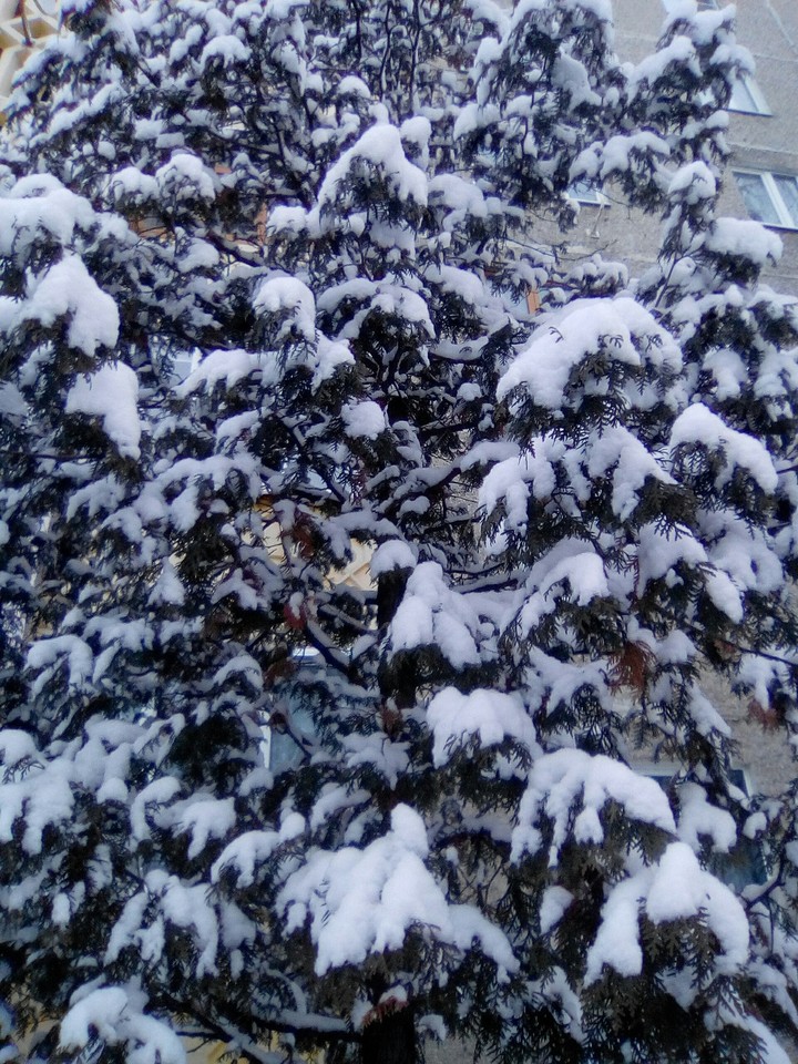 Winter..