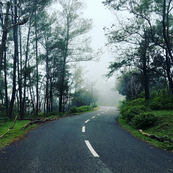 Find your own path