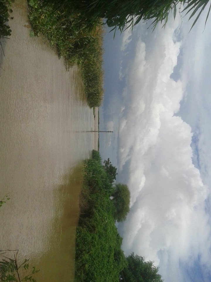 beauty of nature