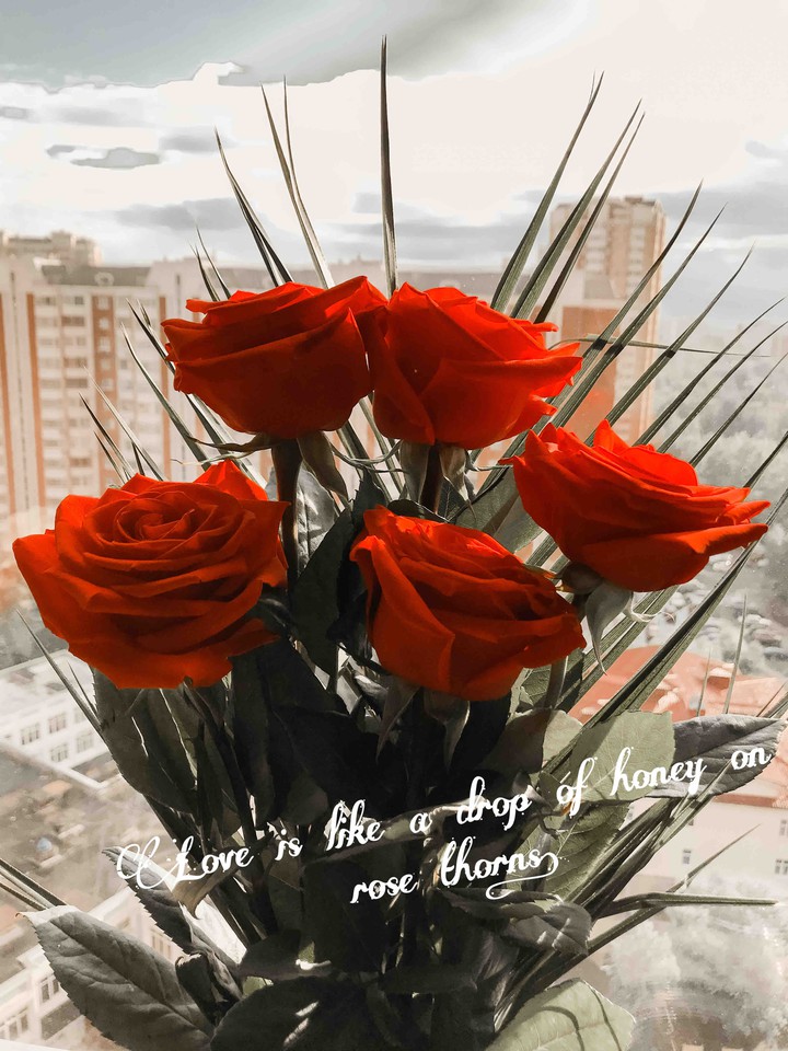 roses