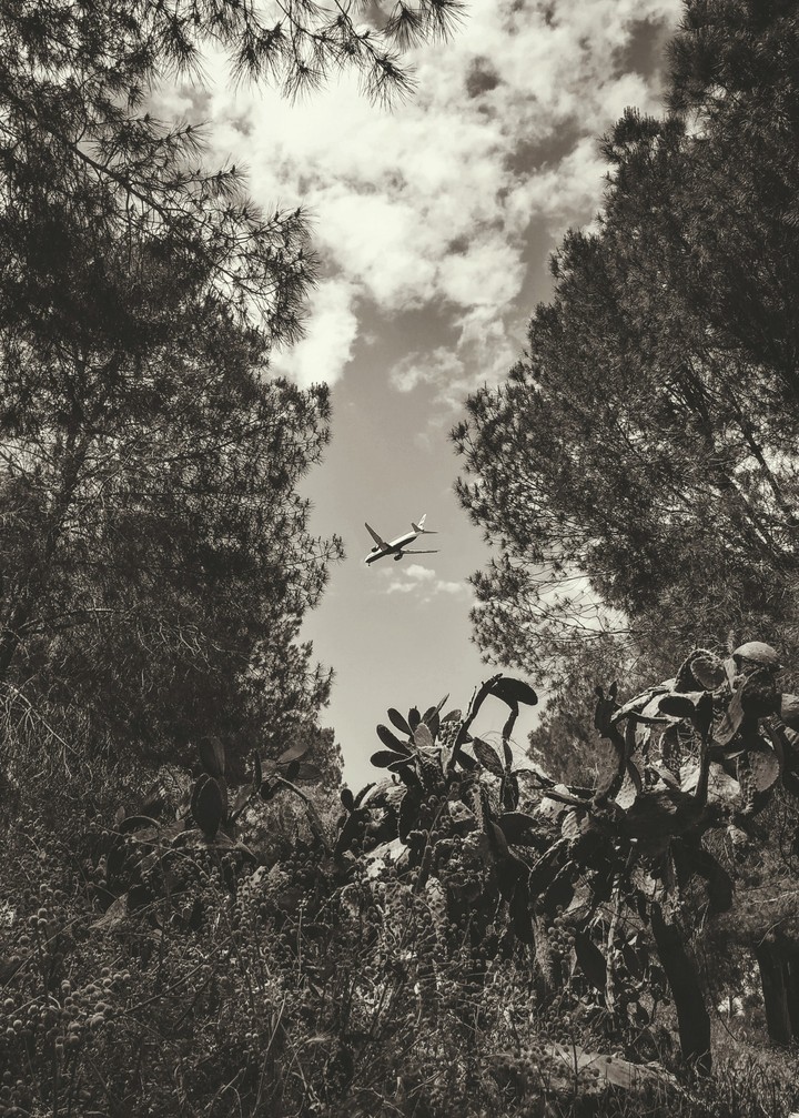A plane in nature