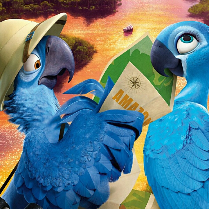 Rio_2014