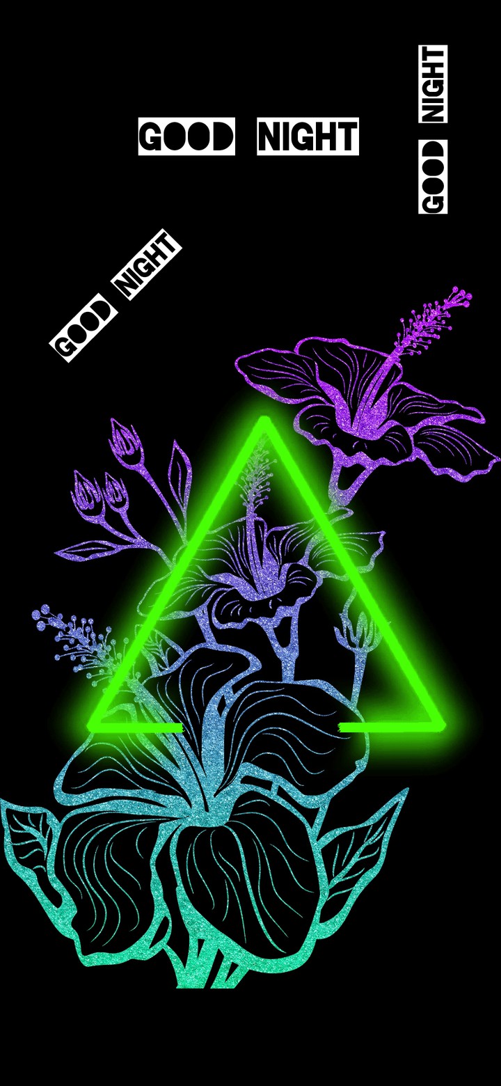 "Melody of the Night" / My Creative Work/