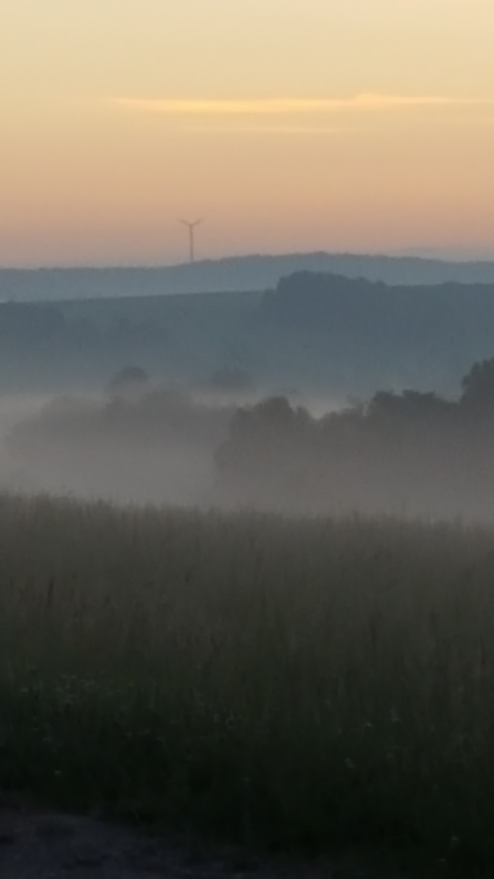 Nebel