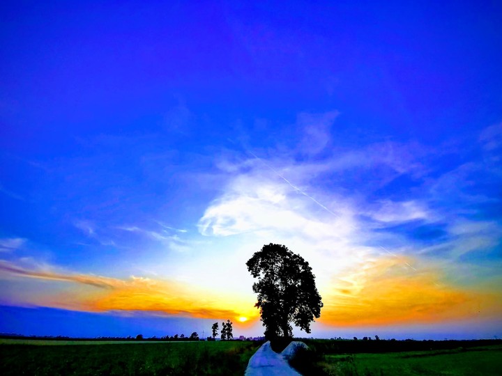 blu sky