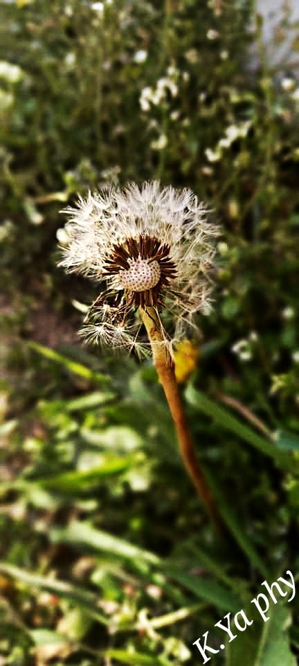 Природа