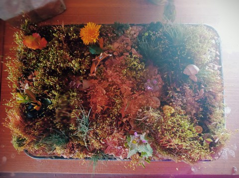 a little garden