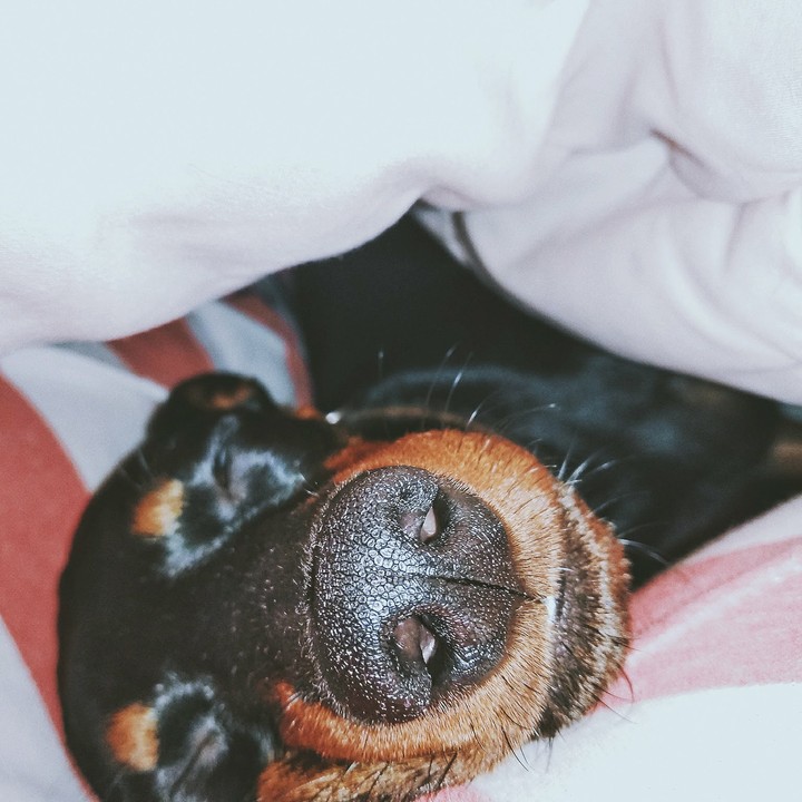 sleeeep