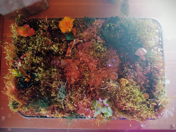 a little garden