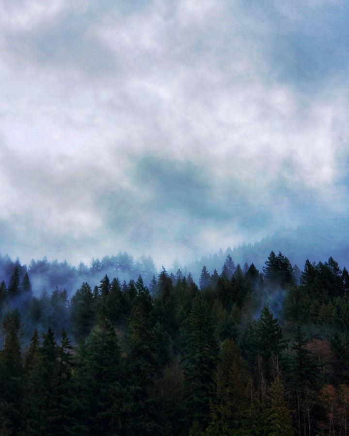 twilight