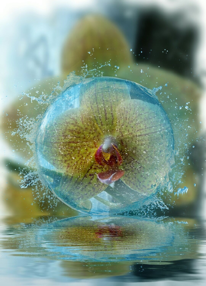 Fantasie