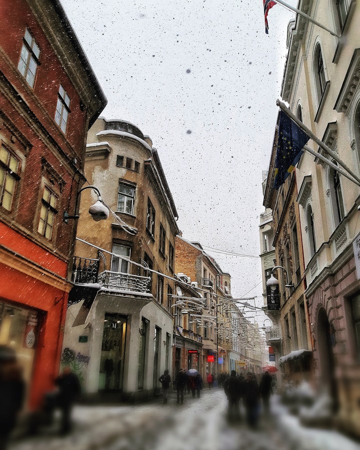 Winter Wonderland