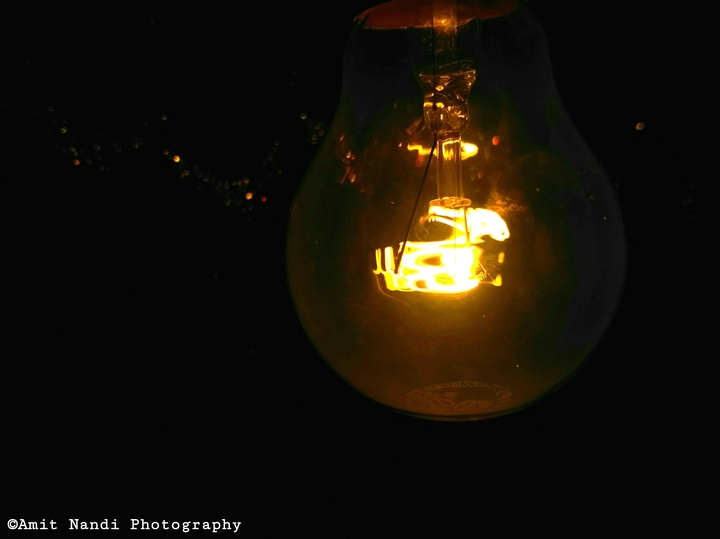 Bulb