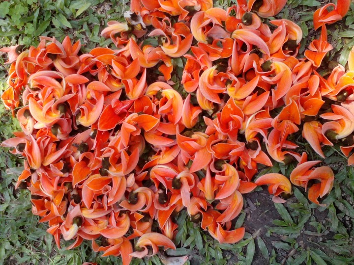 Spring came