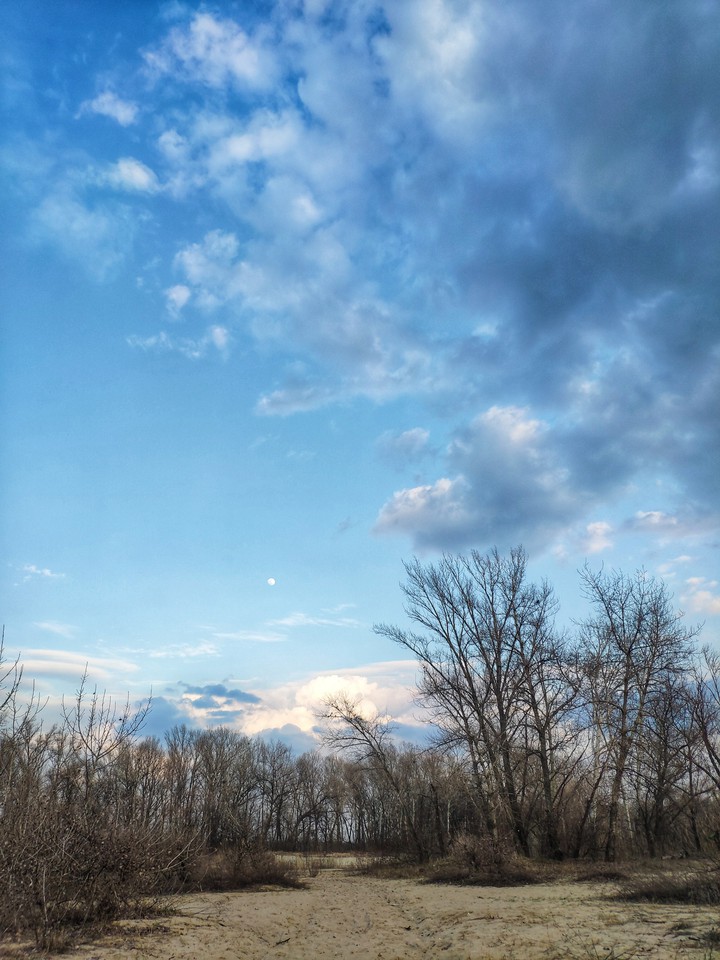 Spring sky