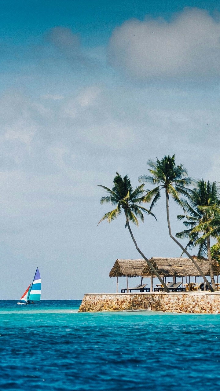 Island Life