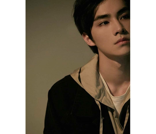 WayV
