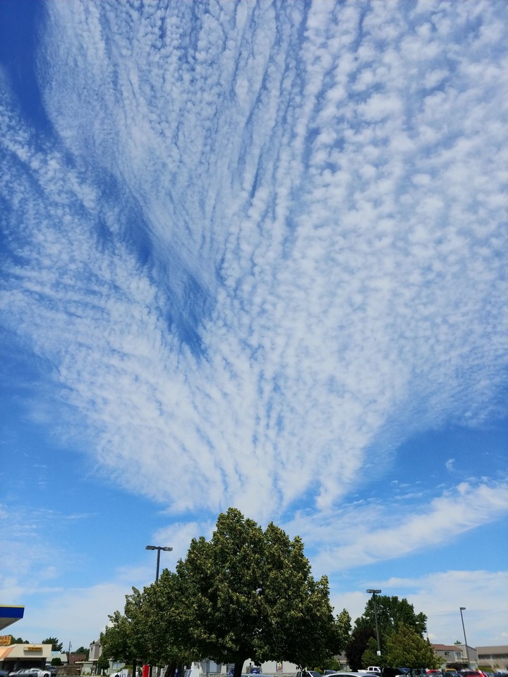 Summery sky