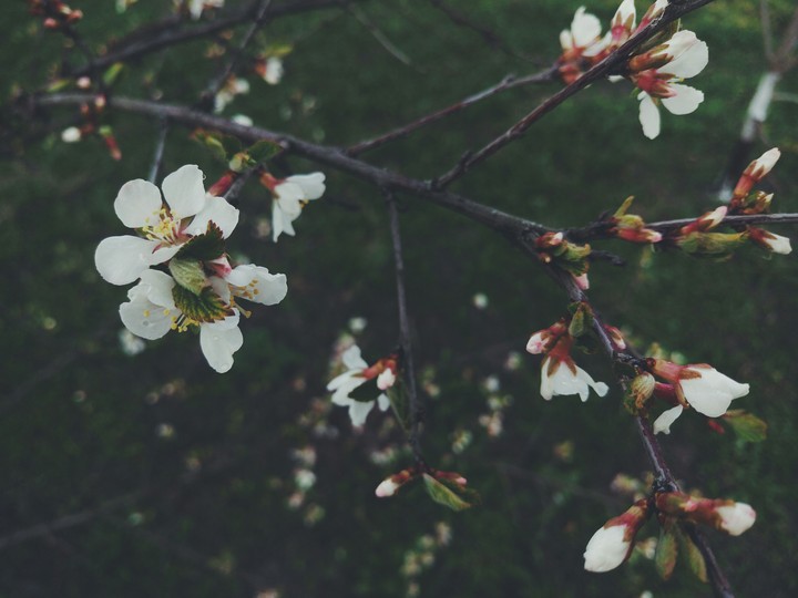 Spring