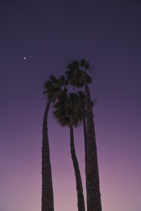 sky