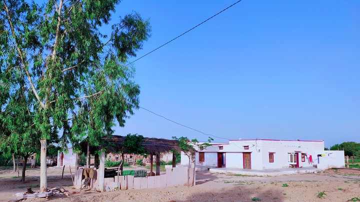 My sweet home