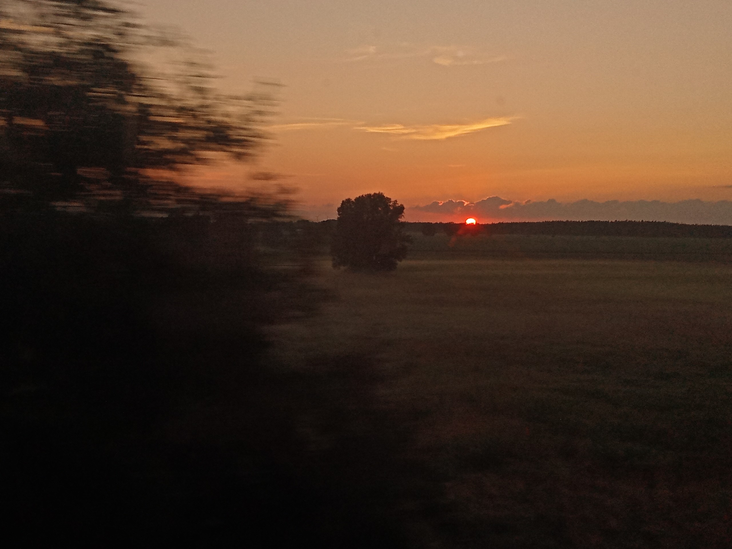 Abenddämmerung - Auf den Weg nach Hause zu dir ❤️