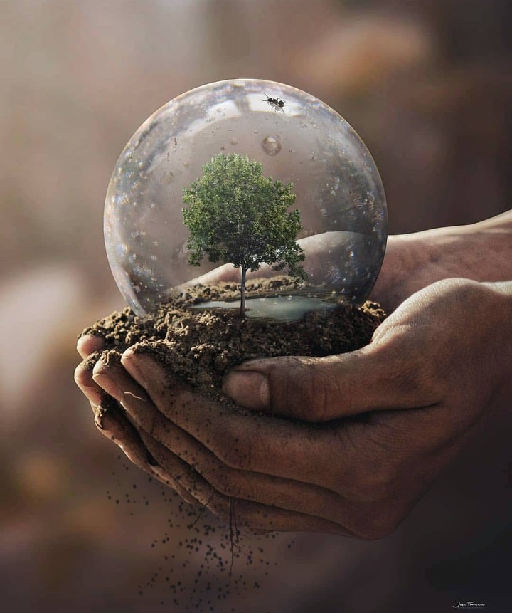 Art Nature